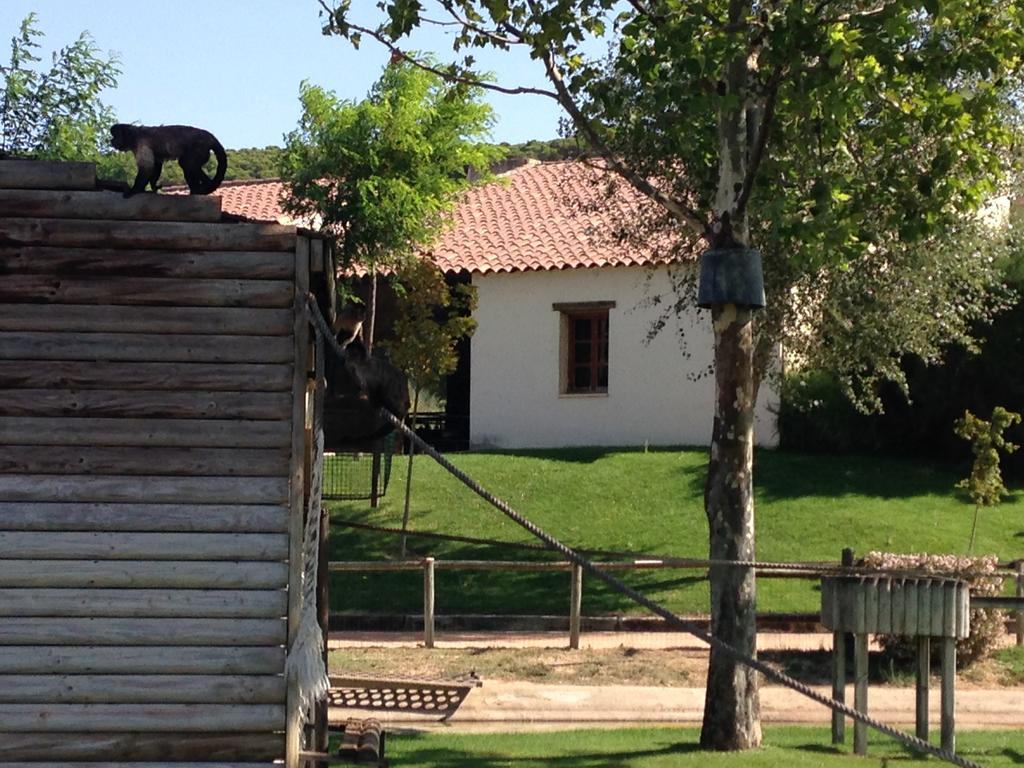 Apartamento Turistico Cigueena De أرغيداس المظهر الخارجي الصورة